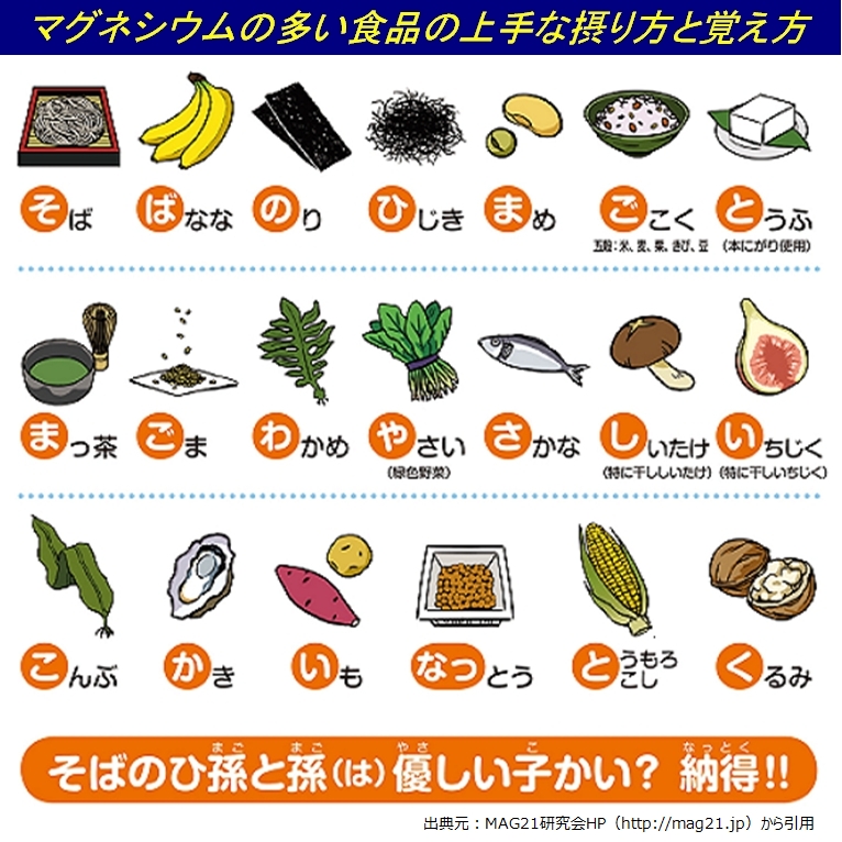 マグネシウムとタウリンは長生きの秘訣（横田 邦信） - パワーアップ！食と健康