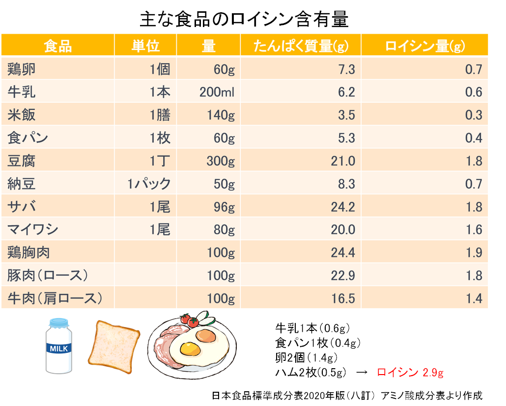 食事でサルコペニア・フレイルを予防しよう（下方 浩史） - パワー